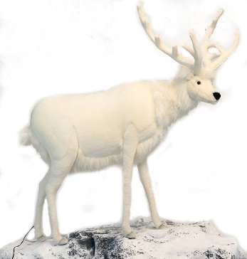Life-size and realistic plush animals.  0279 - WHITE DEER MALE 48"H STATIC5924