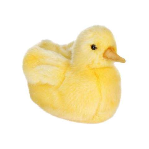 Life-size and realistic plush animals.  3720 - DUCK CHICK   5''
