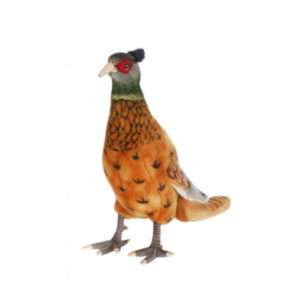 Life-size and realistic plush animals. 3846 - PHEASANT