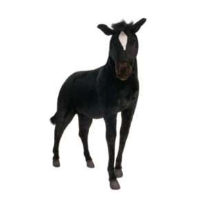 Life-size and realistic plush animals.  4059 - BLACK PONY LIFE SZ 55''