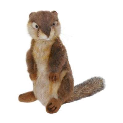 Life-size and realistic plush animals.  4071 - SQUIRREL