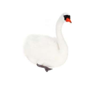 Life-size and realistic plush animals.  4085 - SWAN
