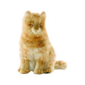 Life-size and realistic plush animals.  4640 - CAT