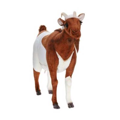 Life-size and realistic plush animals.  4684 - GOAT LIFE SIZE 42''L X 33"H