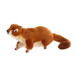 Life-size and realistic plush animals. 4843 - SQUIRREL