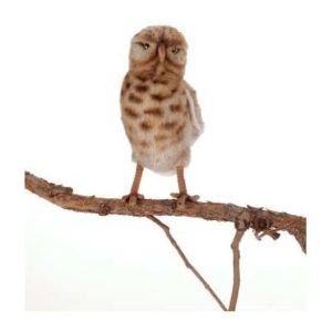 Life-size and realistic plush animals. 5203 - OWL