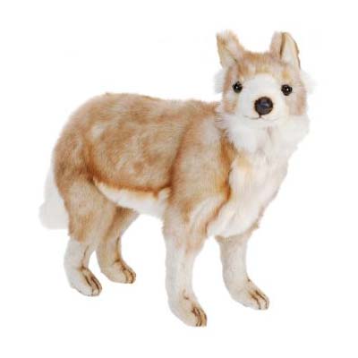 Life-size and realistic plush animals.  5207 - COYOTE