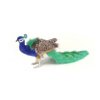 Life-size and realistic plush animals.  5433 - PEACOCK