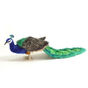 Life-size and realistic plush animals. 5437 - PEACOCK