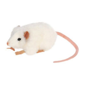 MICE