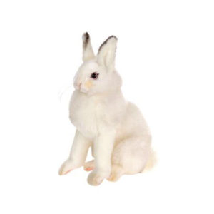 WHITE BUNNY