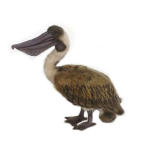 Life-size and realistic plush animals. 5847 - PELICAN BROWN 15''L