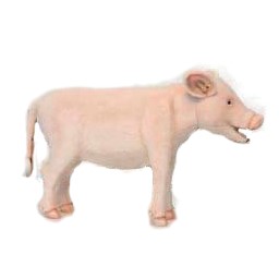 Life-size and realistic plush animals.  6337 - PIG SEAT  37"L x 23"H