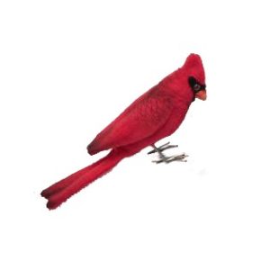 Life-size and realistic plush animals.  6395 - CARDINAL RED 3.5''L