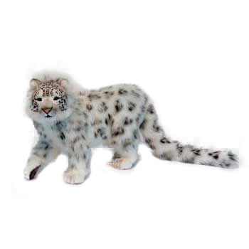 hansa snow leopard