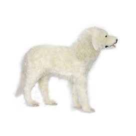 Life-size and realistic plush animals.  6843 - PYRANEAN MOUNTAIN DOG 39"L