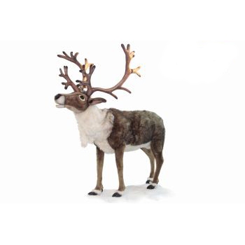 Life-size and realistic plush animals.  6875 - REINDEER (NORDIC) LF SZ 65"H x 58"L