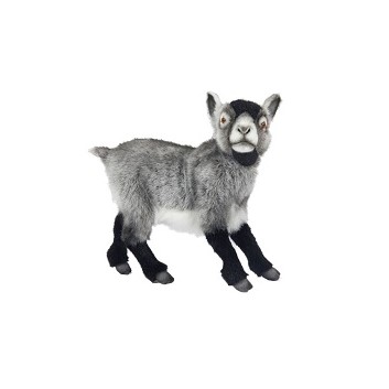 Life-size and realistic plush animals.  7011 - GOAT DWARF GREY 13.6"L