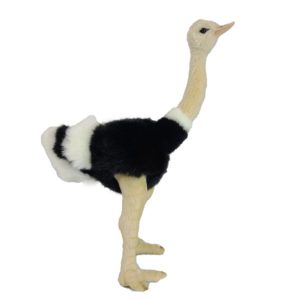 Life-size and realistic plush animals.  3630 - OSTRICH 12.8"H