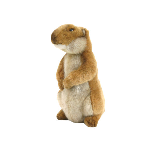 Life-size and realistic plush animals.  3683 - PRAIRIE DOG YOUNG  7"H