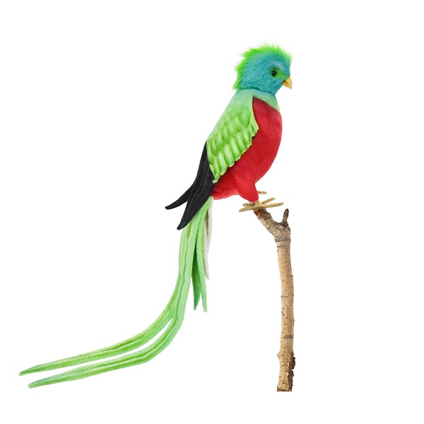 Life-size and realistic plush animals.  8143 - QUETZAL BIRD (SP)